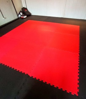 Alquiler de planchas de tatami Custom FIghter