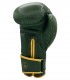 GUANTES DE BOXEO VEGGIE