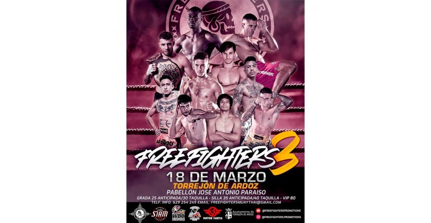 FREE FIGHTERS 3